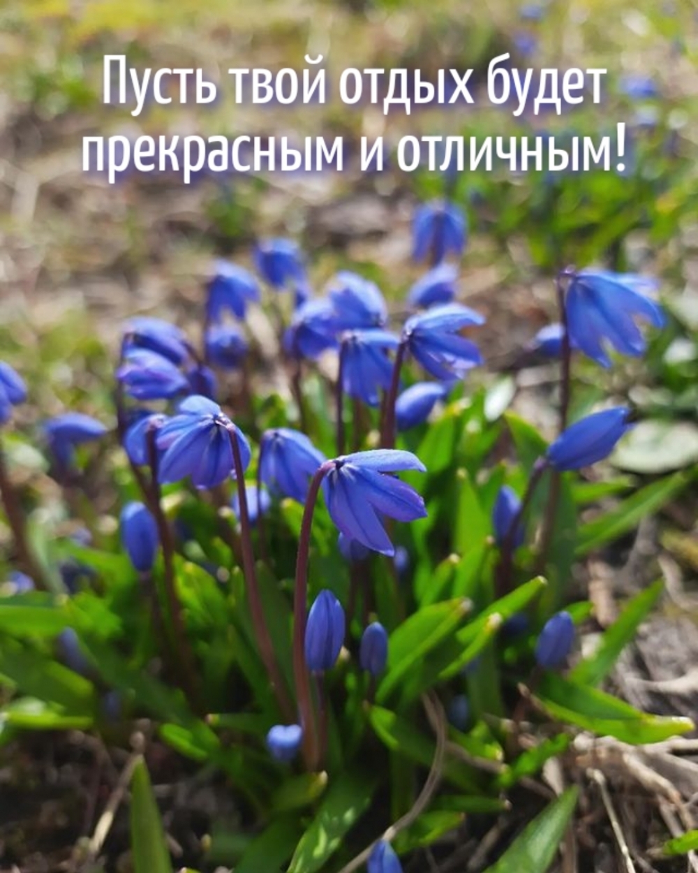 ����� ���� ����� ����� ���������� � ��������!