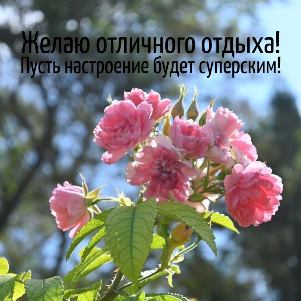����� ��������� ������! ����� ���������� ����� ���������!.