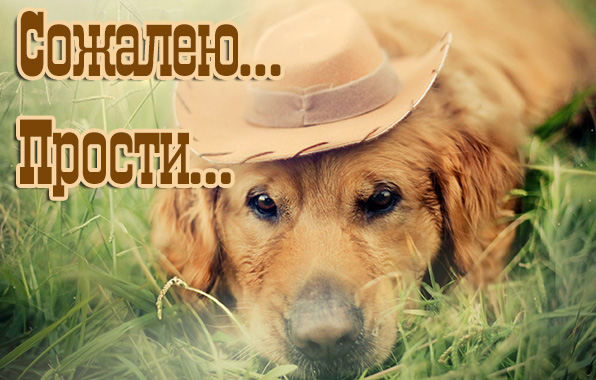 �������... ������....