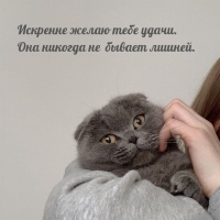 Искренне желаю тебе удачи. Она никогда не бывает лишней.